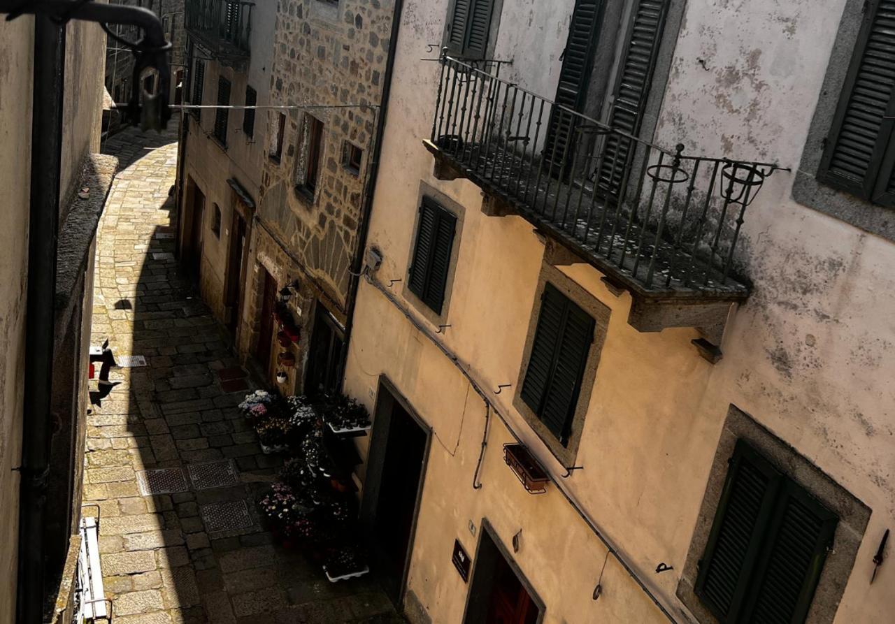 Alma Bnb Santa Fiora Exterior photo